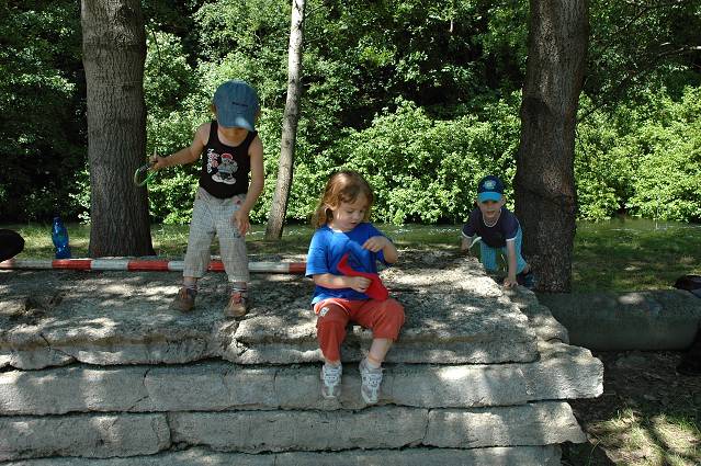 img00157.jpg