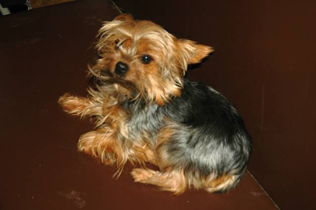 img00067.jpg