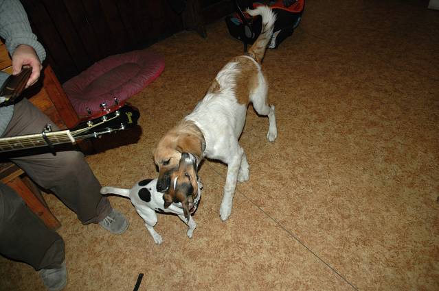 img00069.jpg