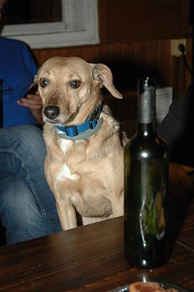 img00080.jpg