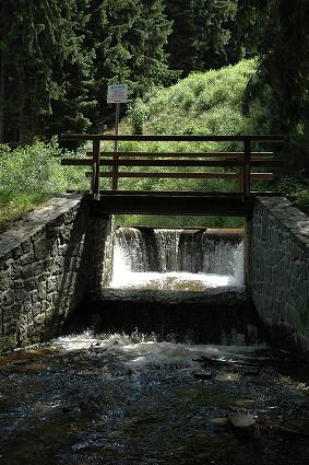 img00062.jpg