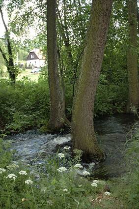 img00064.jpg