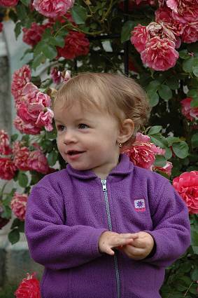 img00123.jpg
