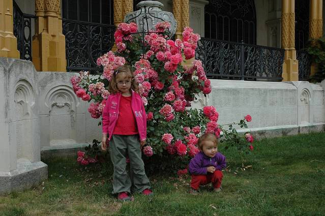 img00125.jpg
