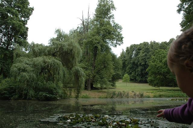 img00129.jpg