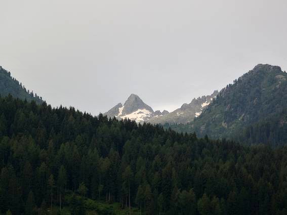 img00058.jpg