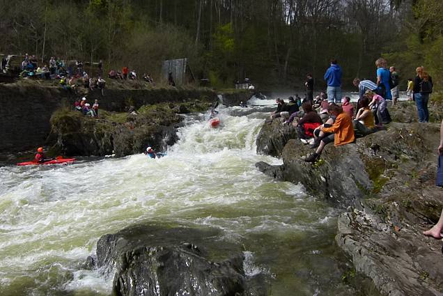 img00305.jpg