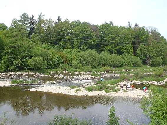 img00020.jpg
