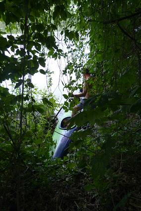 img00048.jpg