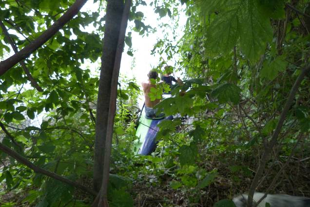 img00049.jpg