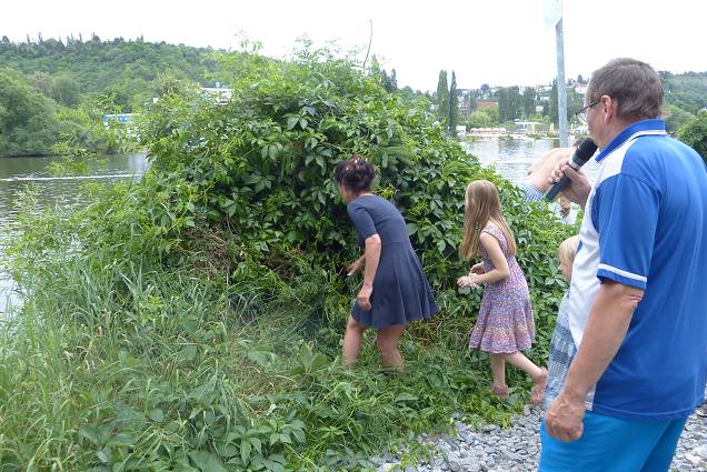 img00071.jpg