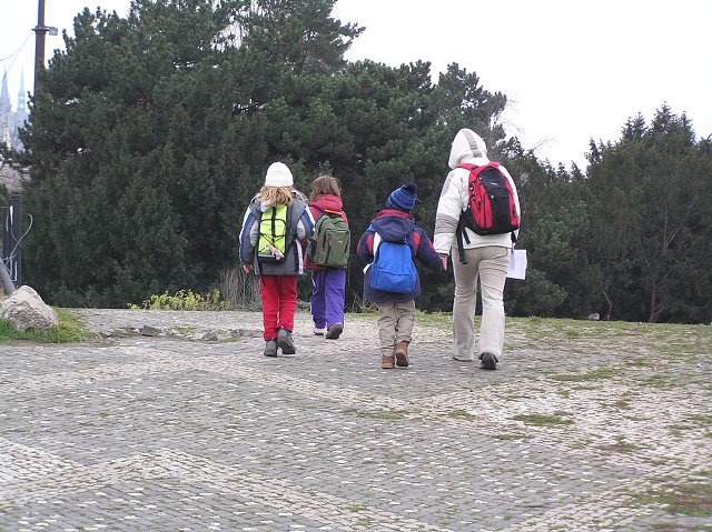 img00025.jpg