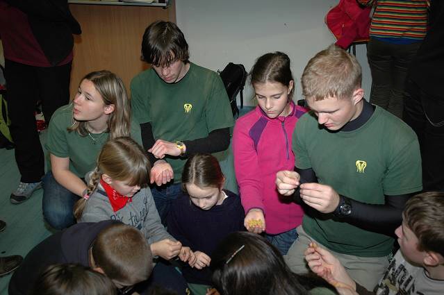 img00026.jpg